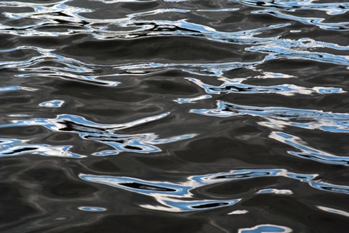 Water Detail, Upland Pond, Sussex County, NJ 09 07 (6913SA).jpg